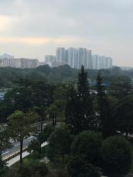 Blk 407 Sin Ming Avenue (Bishan), HDB 3 Rooms #139571502